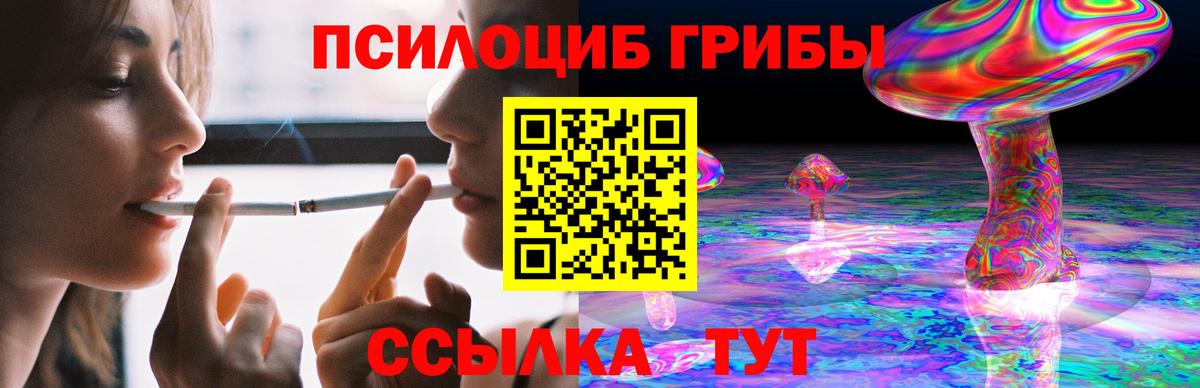 Фурманов  Псилоцибиновые грибы прущие грибы  Вход с VPN 